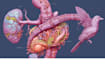 draw exercise, medical and anatomy illustrations