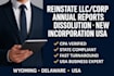 reinstate file annual reports dissolve register llc corp in wyoming, delaware