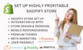 set up shopify store and shopify dropshipping store