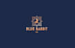 design professional whimsical evocative consulting firm logo