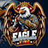 design high quality eagle mascot logo with t shirt design