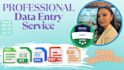 do excel data entry, formulas,pivot tables and visualization