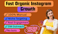 do instagram marketing and promotion for organic growth with real followers