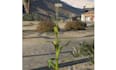 create a custom 3d prop fivem