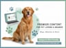 write dog articles and pet blog posts
