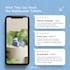 create aesthetic canva social media content