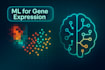 apply machine learning to gene expression data