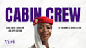 make your cabin crew resume, cover letter and application