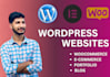 make wordpress website for you