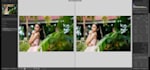 edit event photos on lightroom