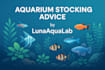 give expert aquarium stocking advice for your fish tank