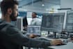 web developer e front end developer