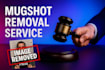 permanently remove mugshots, negative links, article, onlyfans