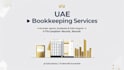 provide professional bookkeeping services for your uae business
