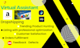 ebay virtual assistant to manage 500 daily sales and amazon