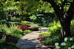 design 2d master plan, site plan, landscape architect, pool garden design