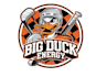 design proffesional duck logo
