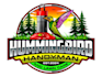 design proffesional hummingbird logo