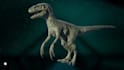 do 3d animal model, 3d fur 3d xgen 3d zbrush