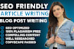 write SEO articles, blog posts and high converting copy