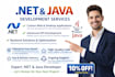 be your java spring boot dot net expert