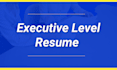 write a professional executive CV in 24 hours