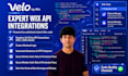 do wix custom code and api integration using wix velo