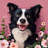 create a custom dog illustration for pet lovers