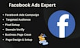 facebook ads expert, ads campaign setup, targeted ads