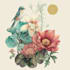 draw animal and botanical illustrations