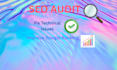 do a professional SEO audit