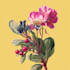make botanical illustration with hand drawn