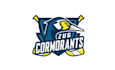 design memorable street hockey team logo