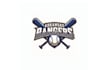 design rangers youth baseball team logo