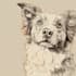 draw custom pet portrait in line art vector illustration