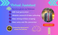 do data enrichment,lead generation and file conversion
