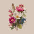 do a botanical watercolor illustration, floral drawing