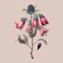 make a botanical illustration with scientific focus