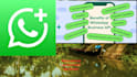 set up whatsapp business API and build a custom chatbot