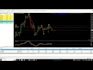 program mt4 eas mt5 eas expert advisor forex trading bot forex robot indicator