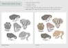 illustrate single stickers and sticker packs