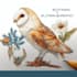 draw animal and botanical illustrations