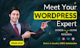 fix, speed up or redesign your wordpress website in 24 hours