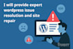 provide expert wordpress issue resolution and site repair