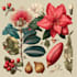 paint watercolour botanical illustrations
