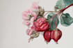 paint botanical and scientific illustrations