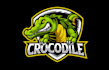 draw unique alligator logo with unlimited revisions