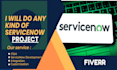 provide expert servicenow development and administration