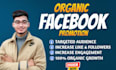 promoting your post to 20m active audience on facebook