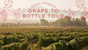 plan the perfect vineyard and wine tasting tour for your destination